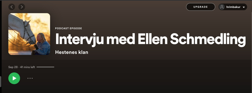 Foto: Skjermdump Spotify