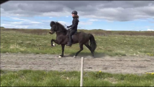 Knallflott hest til Karoline