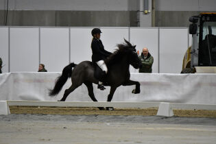 7,07 for Maria og Tindur