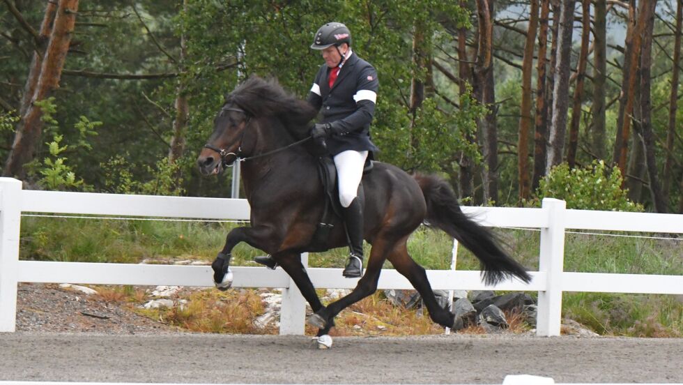 Rutinerte Nói fra Jakobsgården har fått ny eier.
 Foto: Tølt.no.