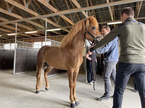 Kriteriene for avl er klare