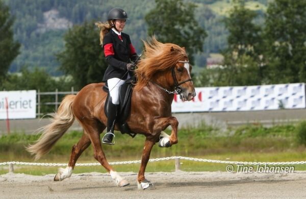 Planlegges som WR