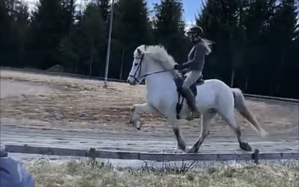 Tina og Taktur i siget