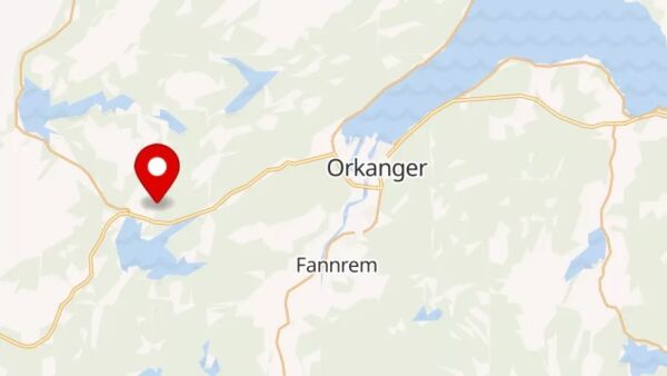 Hest falt ut av henger i 90-sone