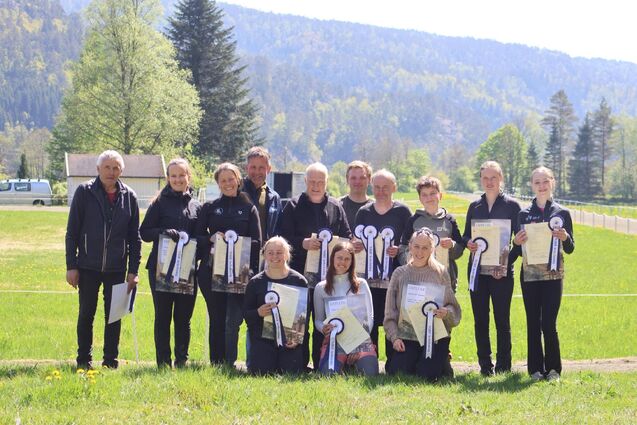 Avlsvisning og debutanter på banen