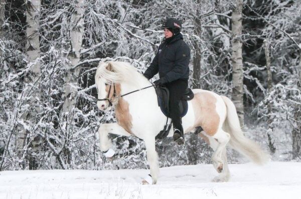 Ridning på snø og is