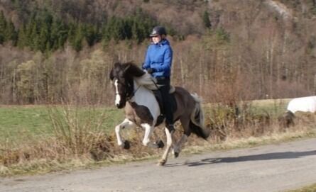 Julie og hennes gamle hest Bjørk fra Rønningen
 Foto: privat