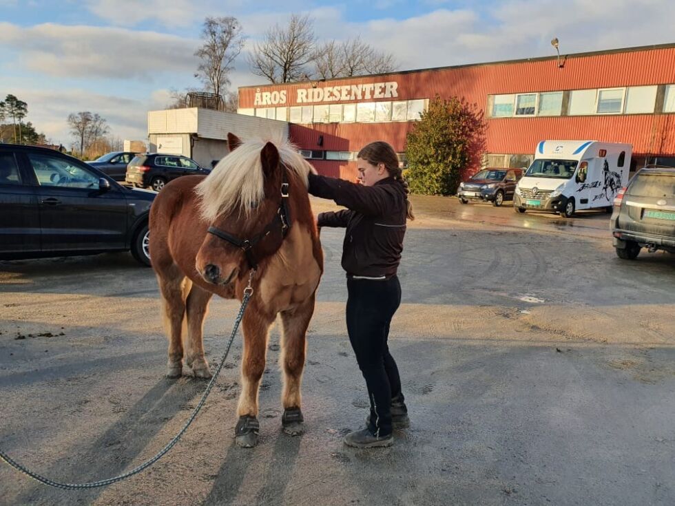 Foto: Marianne Berget