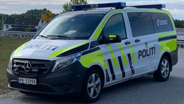 Hest skutt og drept under elgjakt
