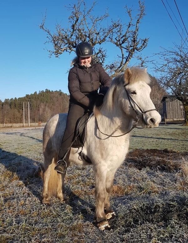 Haukur
 Foto: privat