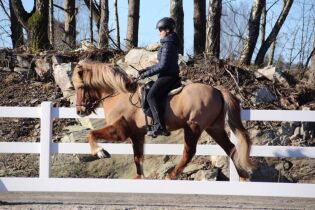 Seier i debuten