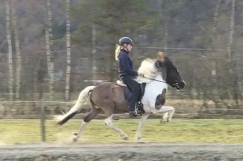 Julie og hennes gamle hest Bjørk fra Rønningen
 Foto: privat