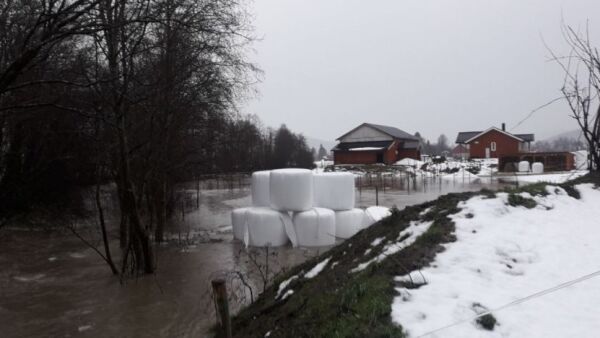 Fikk merke naturkreftene