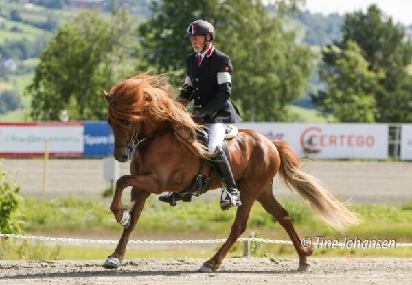 Farsæll fra Midtlund best på Romme