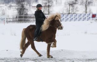 Resultater fra T7