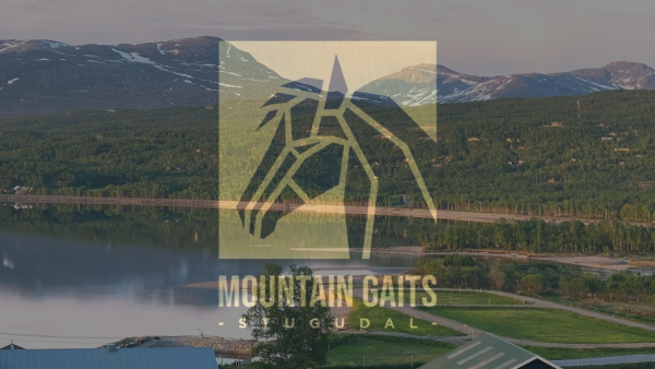 Mountain Gaits har plan B
