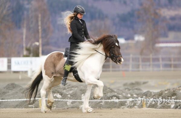 Klar for juniorklasser med ny hest
