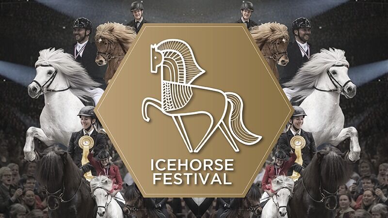 Icehorse Festival i Herning er avlyst.
 Foto: Skjermdump