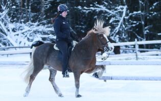 Overbeviste i T2