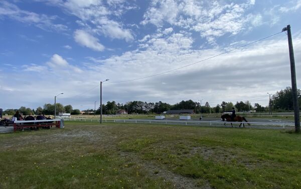 God stemning og gode hester