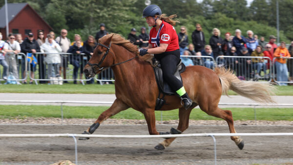 Bronsen glapp