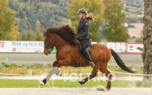 Suveren i V1 junior