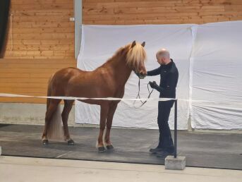 Avlssesongen begynner i morgen