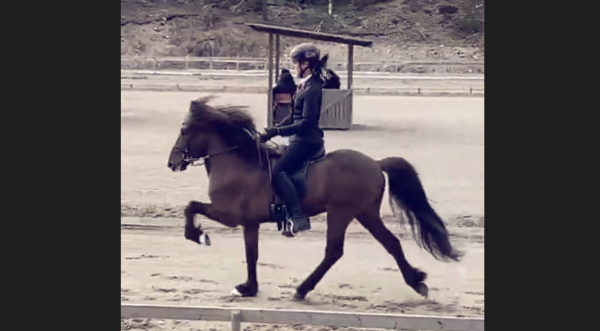 Suksess for Lona og Vakandi