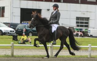 Møt Sekine