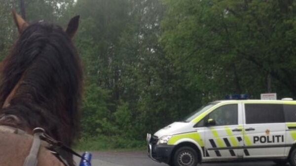Vil ha aldersgrense for å kjøre og ri hest i trafikken