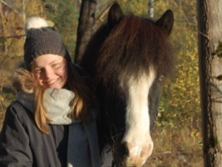 Dressur, sprang og gangarter