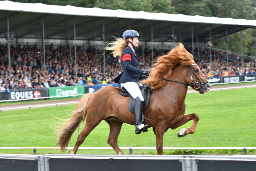 Gabrielle og Tígulls mesterskap er over - men for en hest hun og Bernt har avlet.
 Foto: Cathelijne Harkema