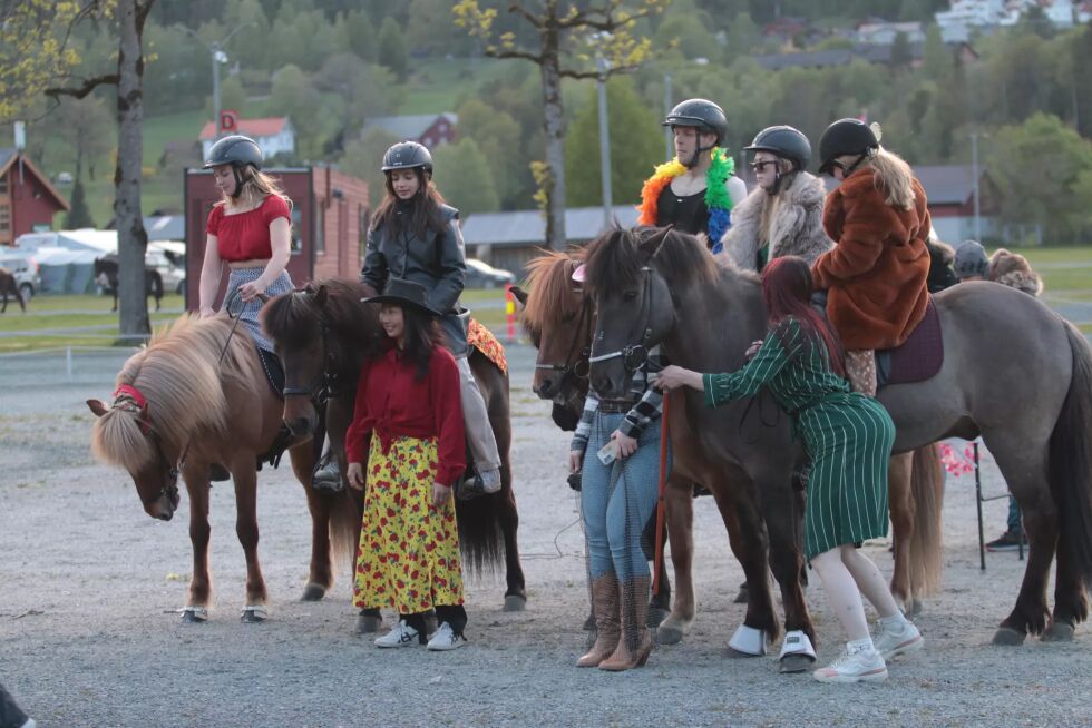 Det er igjen klart for Pinsestevnet i Seljord, men i år med en nyhet.
 Foto: Tølt.no.