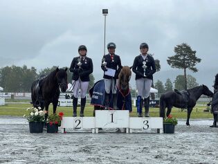 Trippel Norgesmester