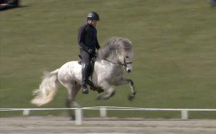 Ny hest til Thorsbye Andersen