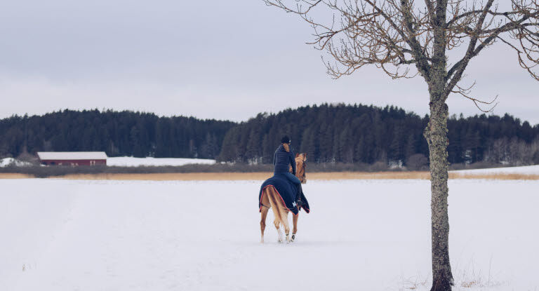 Illustrasjonsfoto.
 Foto: Agria Dyreforsikring.