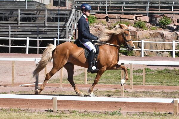 Femte for Herman i B-finalen