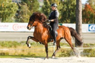 Flere stevner avlyses