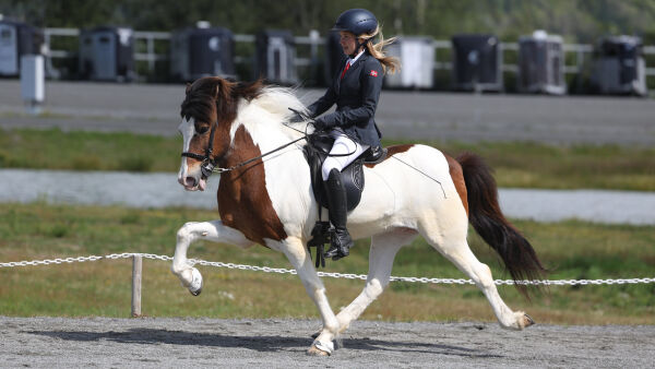 Her er landslaget