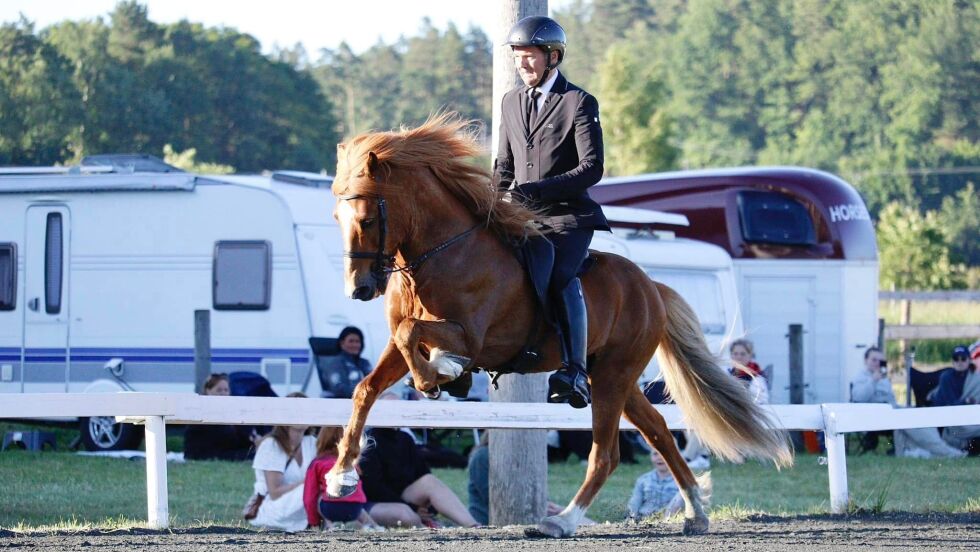 Bernt Severinsen og Tigull fra Kleiva har levert det som er stevnets høyeste uttakning.
 Foto: EHE bilder