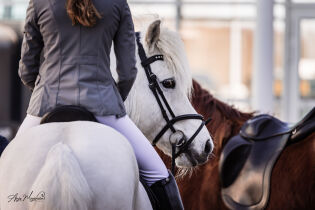 Julie med seier i T4 junior