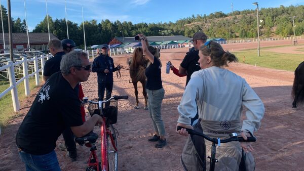 SISTE: Truet med å reise hjem