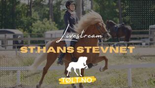 Livestream fra finaledagen!