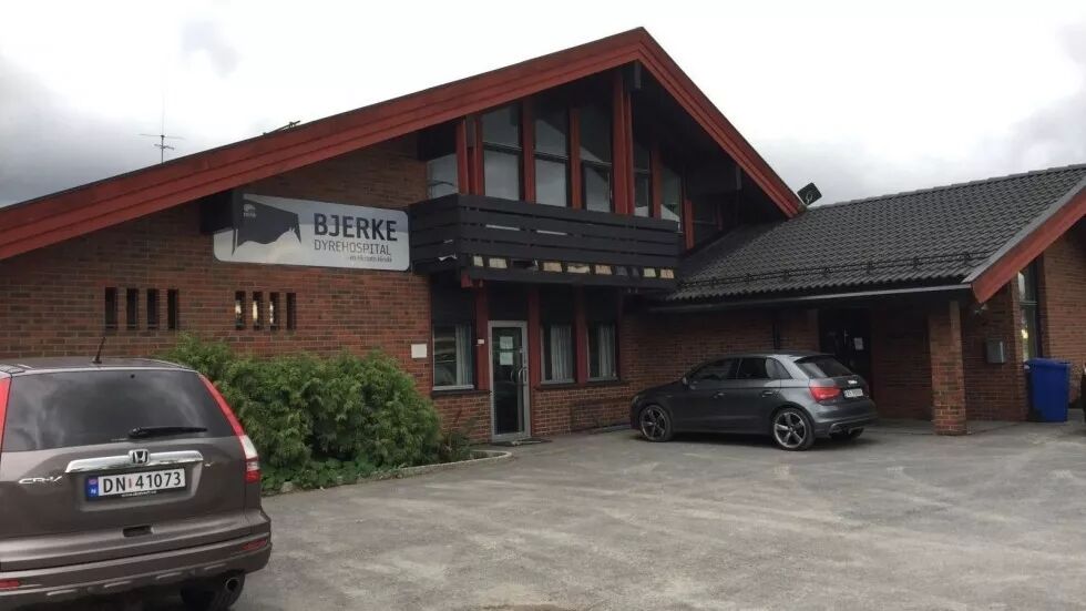 Bjerke Dyrehospital.