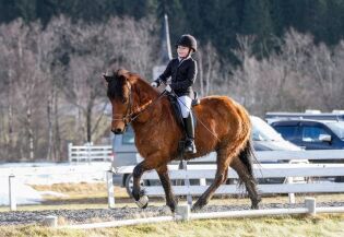 Stevnes yngste deltaker med flott visning