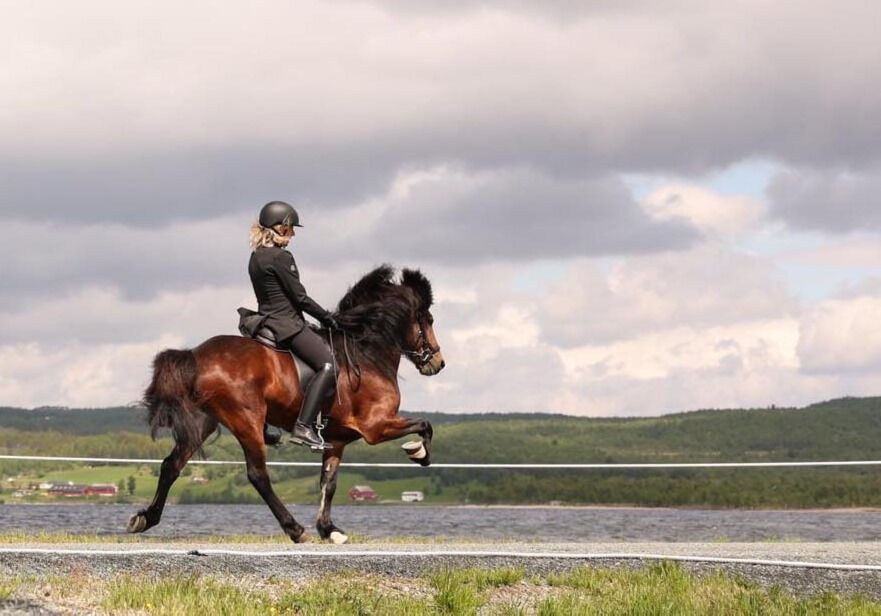 An-Magritt og Freyr fra Nedre Sveen. Hun har også med seg to hester fra egen avl.
 Foto: Axel B.