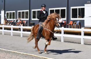 Christina og Blesi med 8,25!
