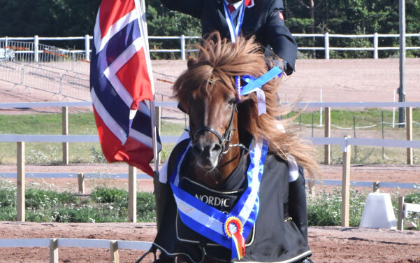 Utvider Norgesserien etter suksess