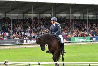 Landslagshesten lagt ut for salg