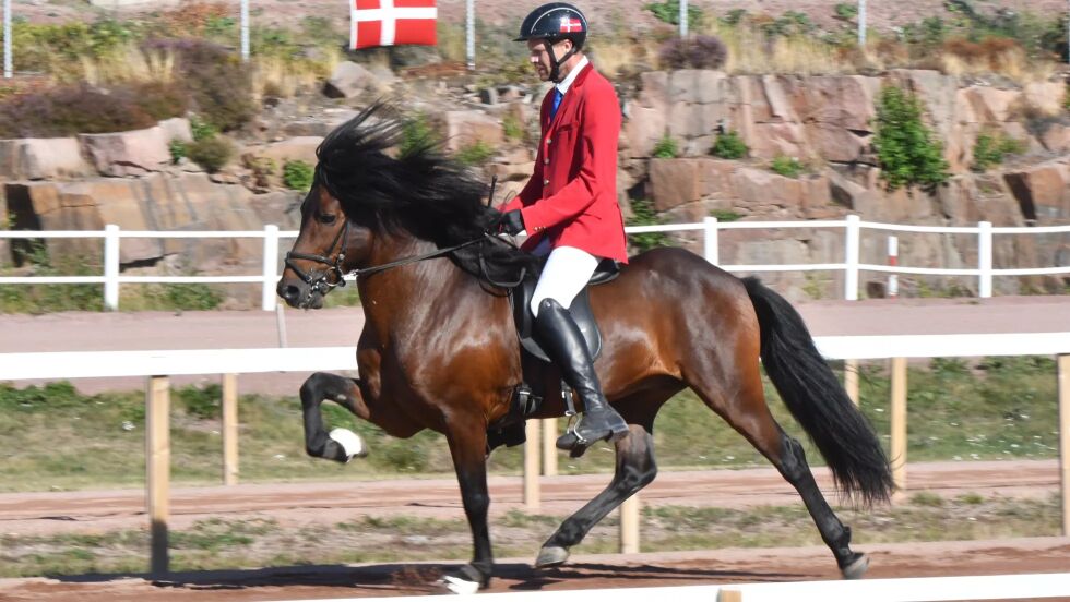 Jón Stenild og Eilífur fra Teglborg har danset sin siste dans på konkurransebanen sammen.
 Foto: Tølt.no.